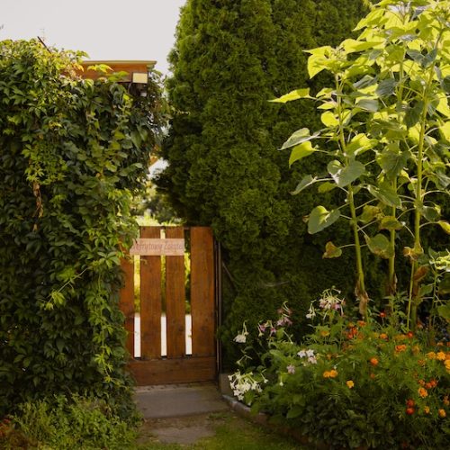 NefrytowyZakatek-2025-14